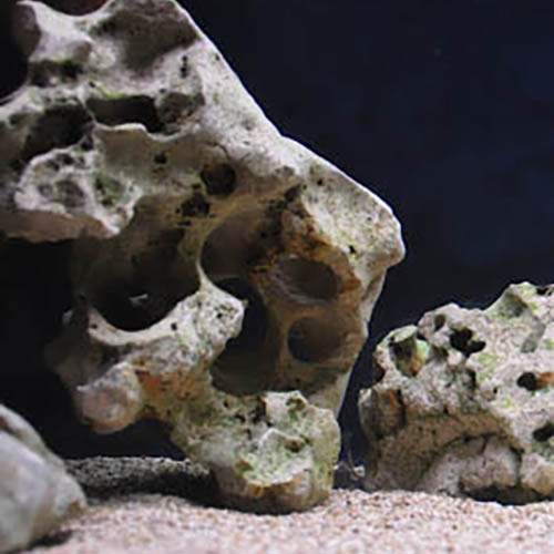 Imagen representativa
                               de la categoría Sustratos y rocas para acuario